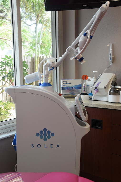 Dentist in Safety Harbor, FL